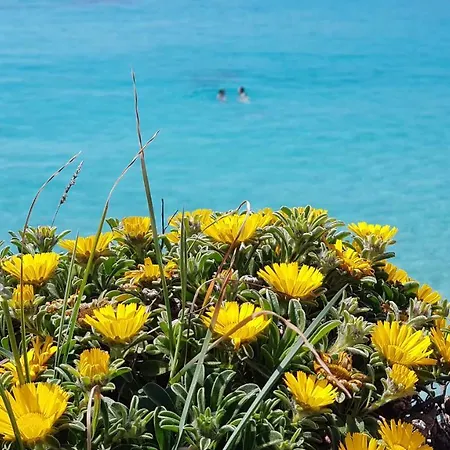 Cala Morlanda S'Illot (Mallorca)
